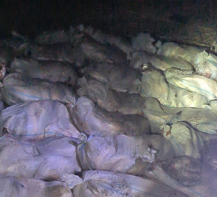 Астраханские пограничники задержали браконьеров с тонной судака: видео