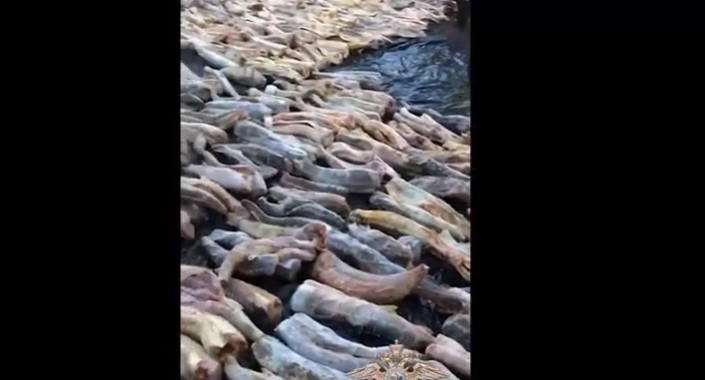 В Астраханской области полицейские остановили грузовик с дорогим секретом: видео