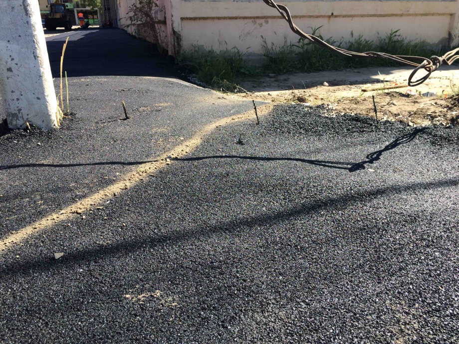 Мэрия прокомментировала ситуацию с закатанными в асфальт камышами