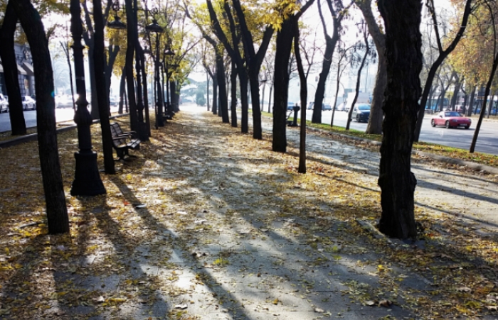 Завтра в Астраханской области продолжится потеря тепла: ночью уже будет, как днем глубокой осенью