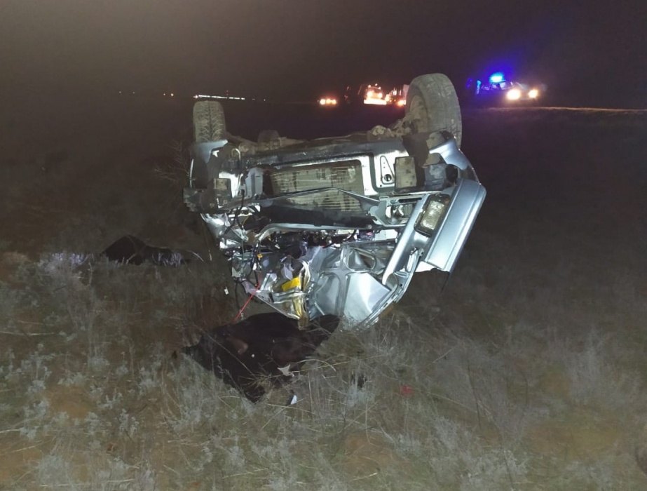 На астраханской трассе корова сломала подростку челюсть, ребра и ключицы