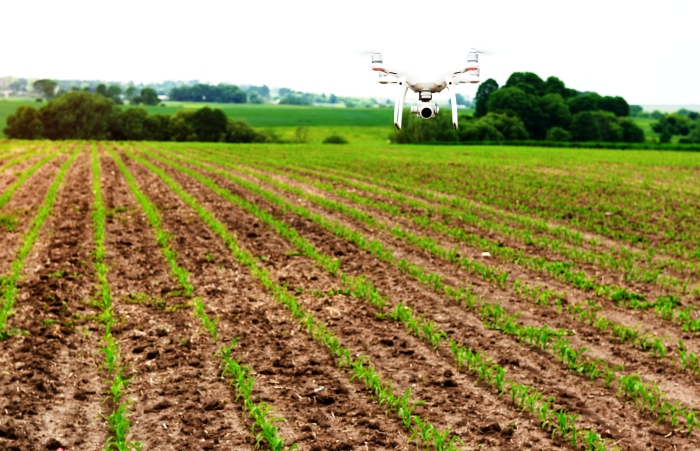 Им сверху видно всё: в России предложили использовать дроны для слежки за земельными участками