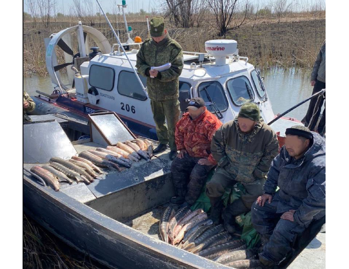 Астраханские пограничники устроили погоню за браконьерами, которые перевозили 100 кг осетровых
