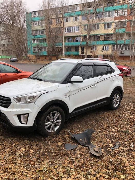 Депутат Гордумы Астрахани спас женщину от стаи агрессивных собак