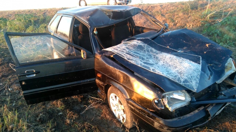 Под Астраханью машина сбила лошадь и опрокинулась: водитель погиб