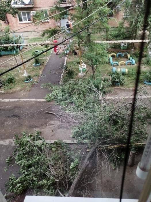 В Астрахани ночная гроза повалила деревья