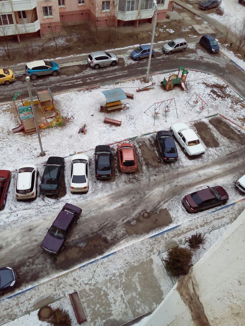 Фото дня: Я паркуюсь, как умею