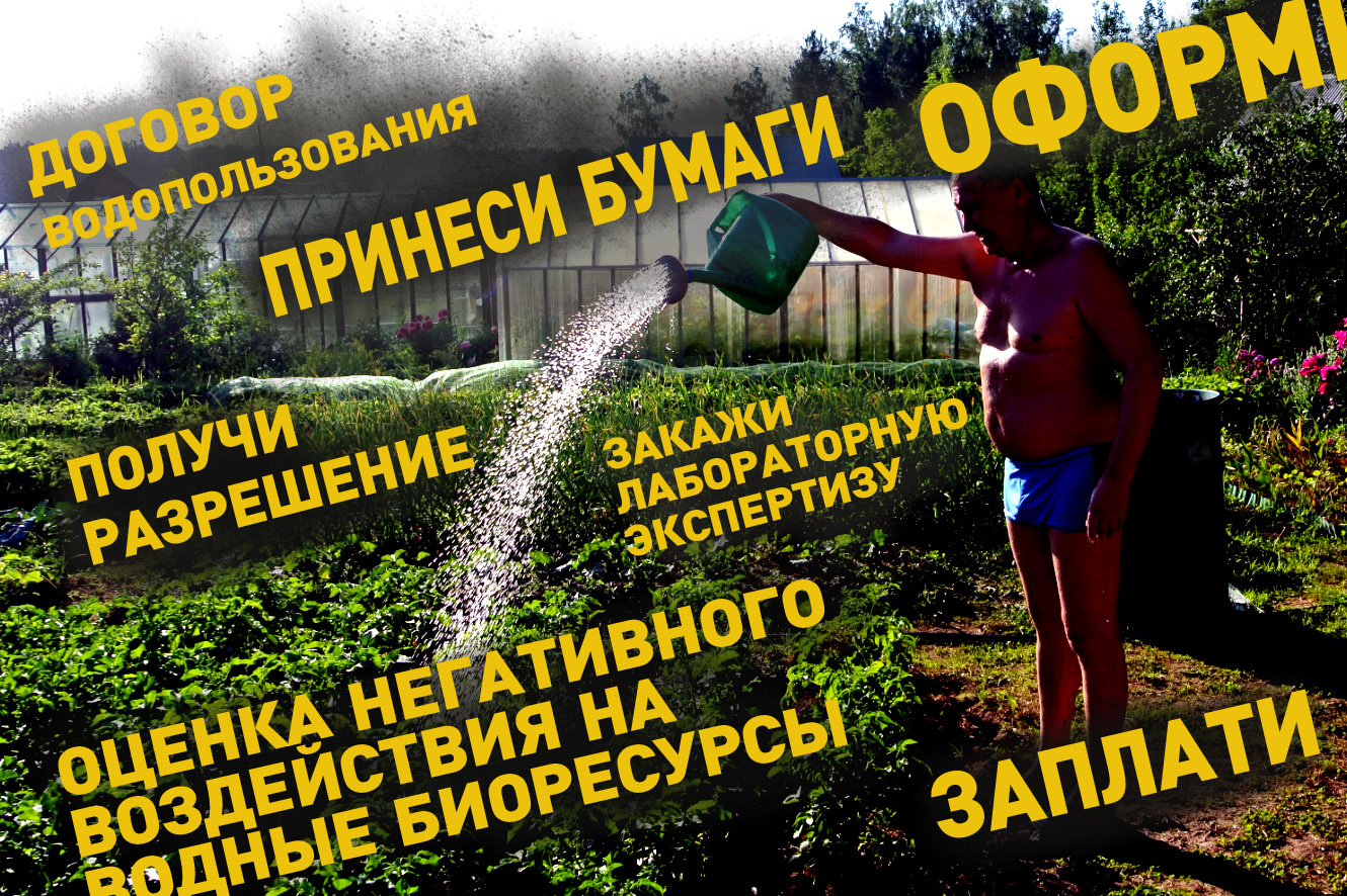 Астраханские депутаты просят освободить дачников от дорогостоящей бумажной волокиты