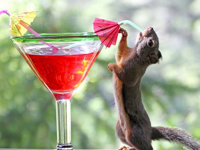 В Астрахань идет живительная прохлада с дождем