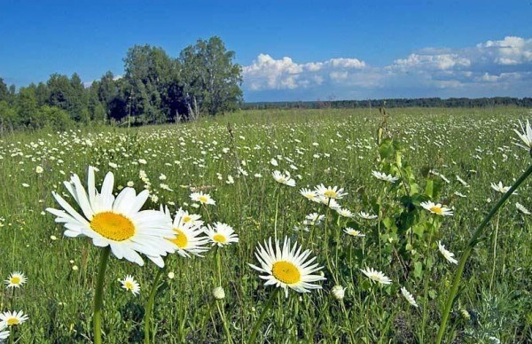 Астраханская погода в июне