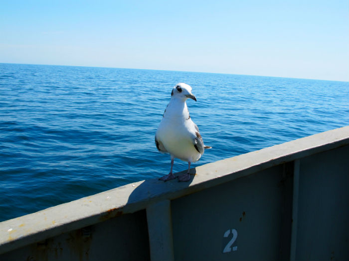 Фотоконкурс “Волго-Каспий: 185 оттенков синего” продолжается