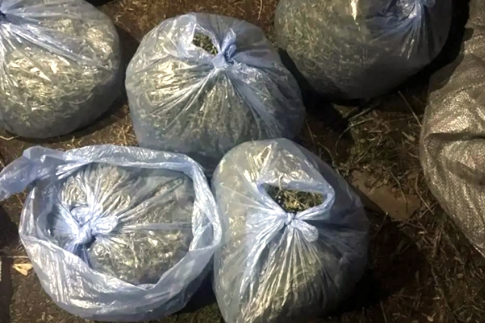 На севере Астраханской области полиции нашла у местного жителя 5,8 кг каннабиса и 4 коробки с патронами