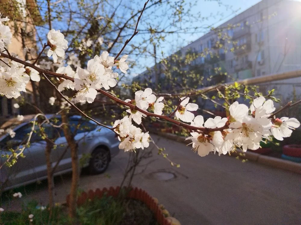 Тепло не хочет возвращаться в Астрахань