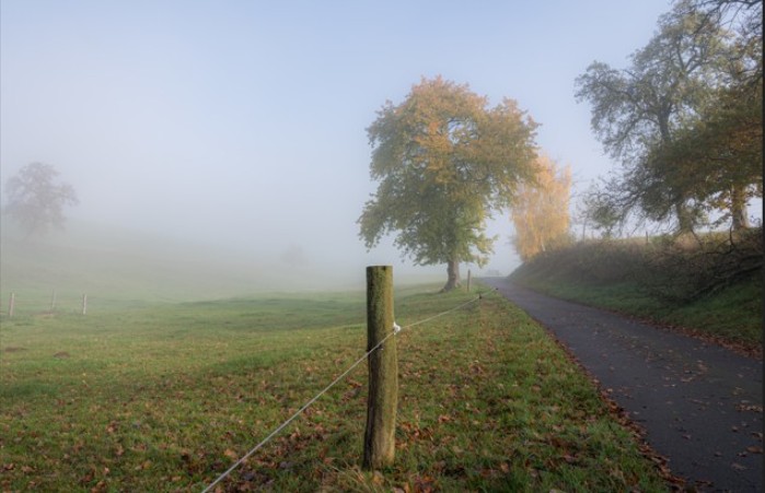 Завтра в Астраханской области ночью похолодает, зато днем потеплеет почти до +20° 