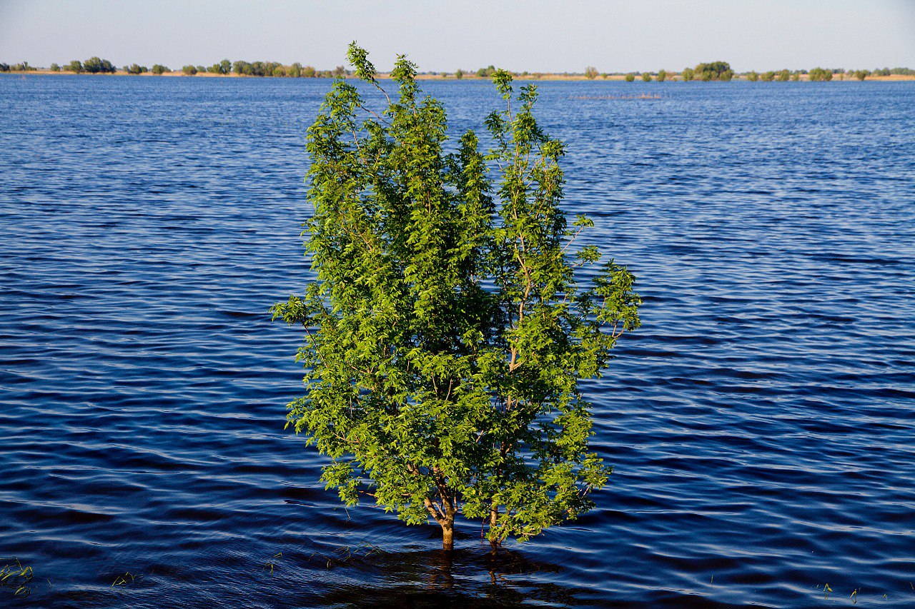 Завтра в Астраханской области «похолодает»