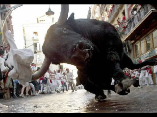 БЕГОМ ОТ БЫКОВ