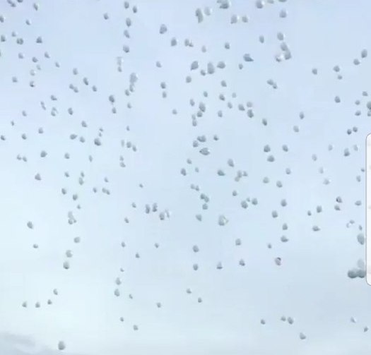 В Астрахани взмыли в небо сотни белых шаров