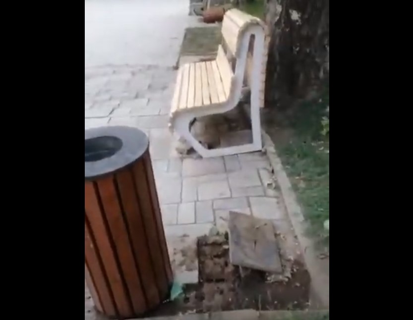 Разнесенный сквер Ульяновых в Астрахани попал под горячую руку 18-летнего парня