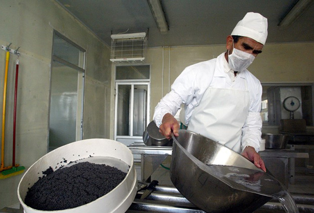 Мораторий для жизни: надолго ли в Каспийском море запретят лов осетров