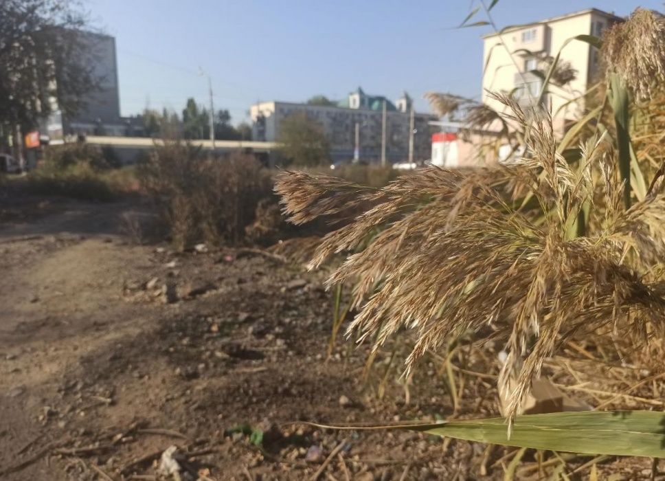 Почему до сих пор в Астрахани не обустроен Селенский сквер? И будет ли он вообще?