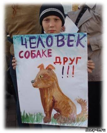 В Астраханской области займутся отловом бездомных животных