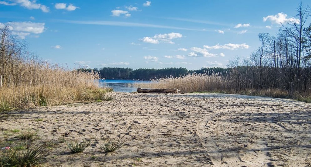 Завод по переработке тростника открылся под Астраханью
