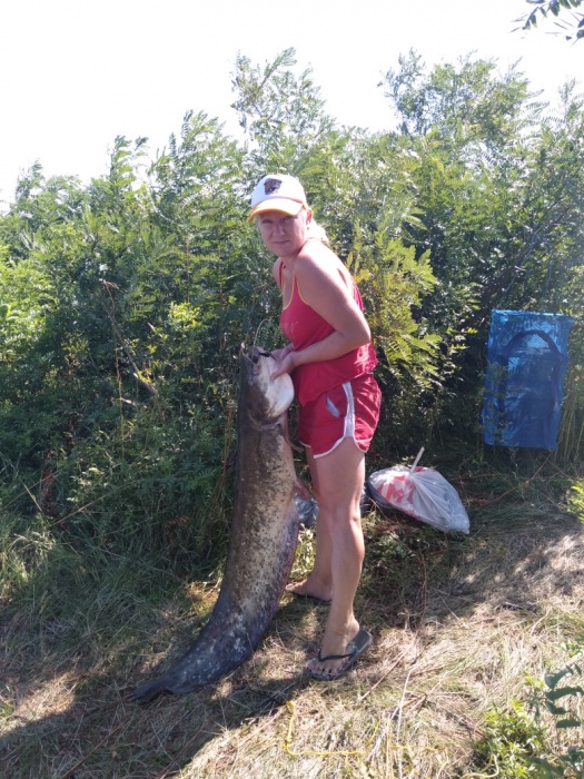 В Астраханской области снова поймали здорового сома 