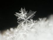 ЛИКВИДАЦИЯ. На улицы города выведут до 150 единиц снегоуборочной техники