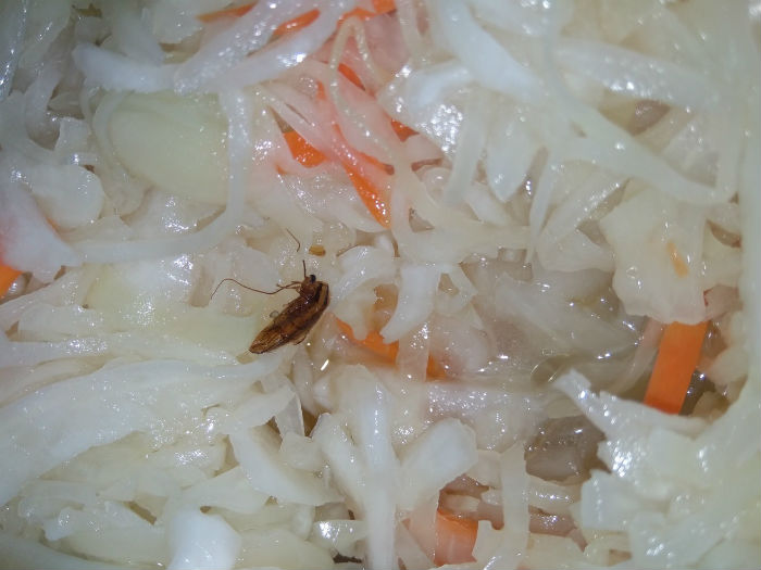 Астраханка купила в известном супермаркете салат с маринованным тараканом 