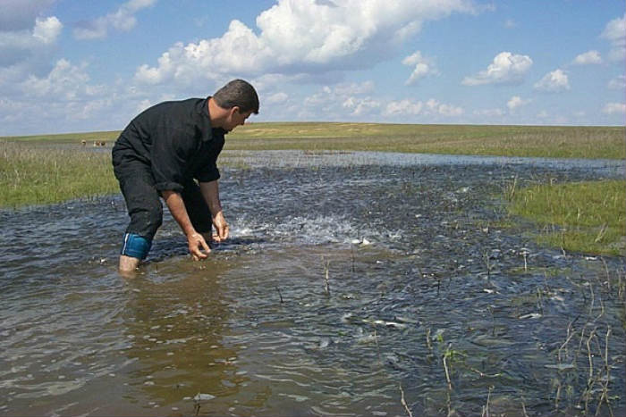 Даешь большую воду. Половодье в Астраханской области. Паводок в Астраханской области. Астраханские разливы. Рыбалка в половодье в Астраханской области.