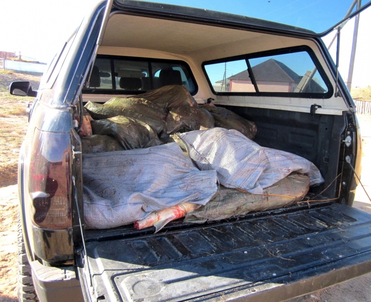 У астраханца полиция изъяла почти тонну осетрины