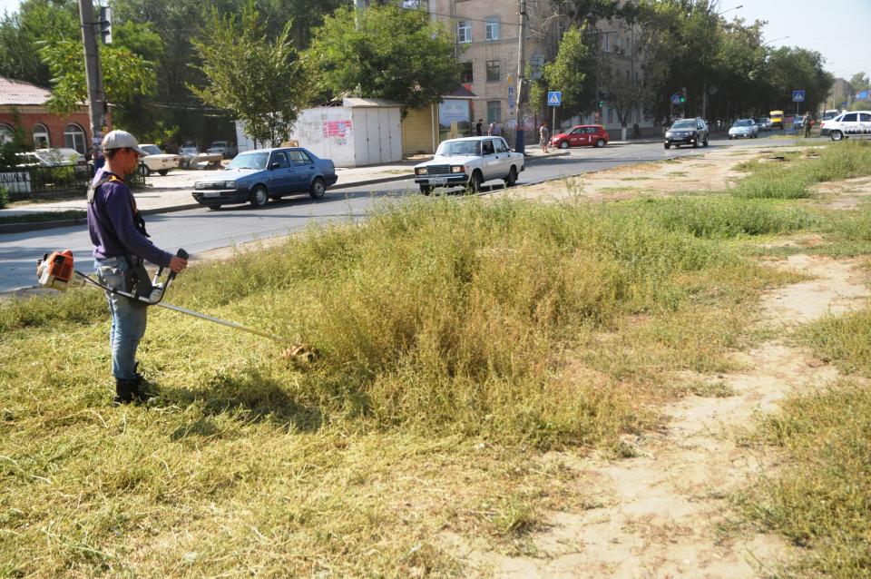 В Астрахани выкашивают сорняки, облегчая жизнь аллергикам