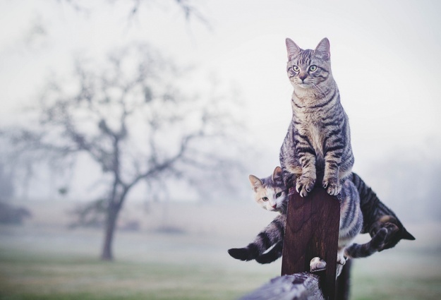 Завтра небо над Астраханью будет хмурым