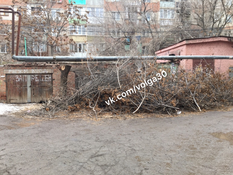 Астраханцы попали в плен к куче спиленных веток 