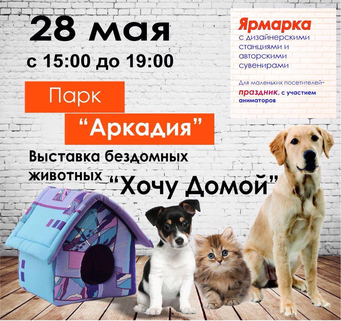 выставка кошек вднх. выставка кошек афиша. выставка кошек вологда. выставка кошек титулы. выставка кошек астрахань.