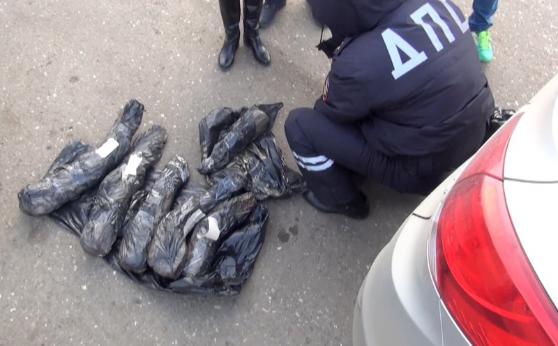 В Астрахани полицейские изъяли у водителя 30 килограммов русского осетра