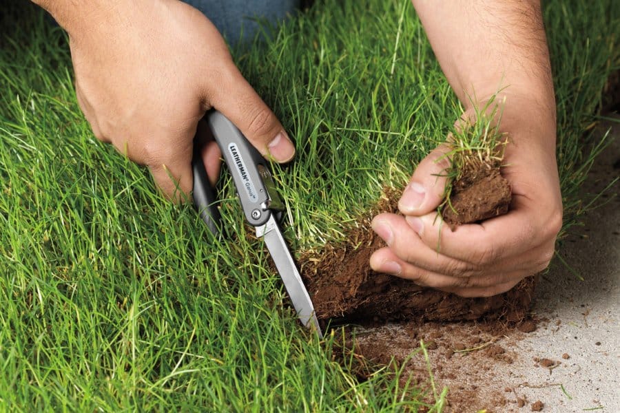 У астраханских парков и скверов будет сложно отрезать кусок и построить на нем свой бизнес