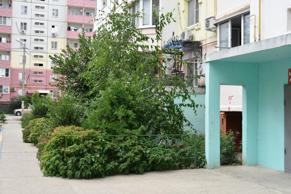 Жители совместно с управляющими компаниями благоустраивают дворы