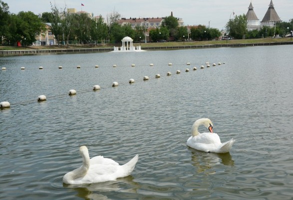 Мэрия Астрахани на деньги нефтяников проведет реконструкцию территории у Лебединого озера