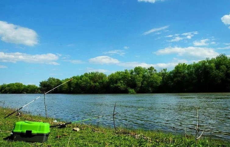 С сегодняшнего дня рыбу в Астраханской области можно ловить где угодно