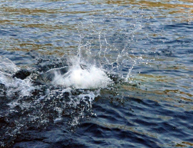 Без вести пропавшего астраханца нашли у понтонной переправы