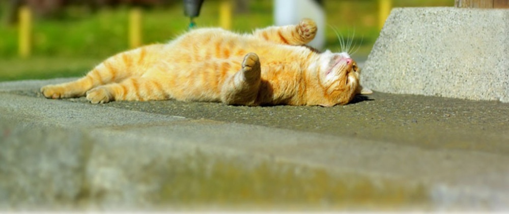 В субботу в Астрахани сохранится 30-градусная жара