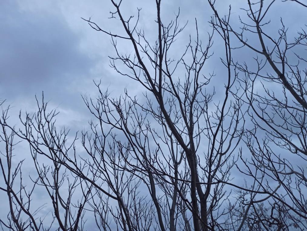 В Астрахань возвращается тепло. Но с ветром