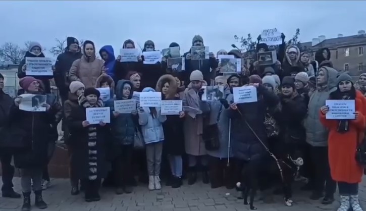 Астраханские активисты записали видеообращение о массовых потравах собак