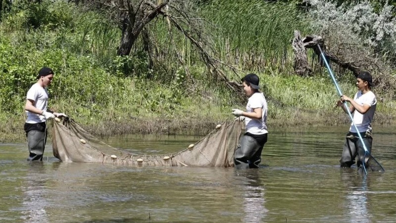 В Астраханской области в этом году трудилось 80 отрядов «Голубого патруля»