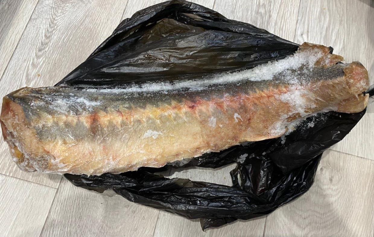 Астраханцы получили 15 лет на троих за одного осетра