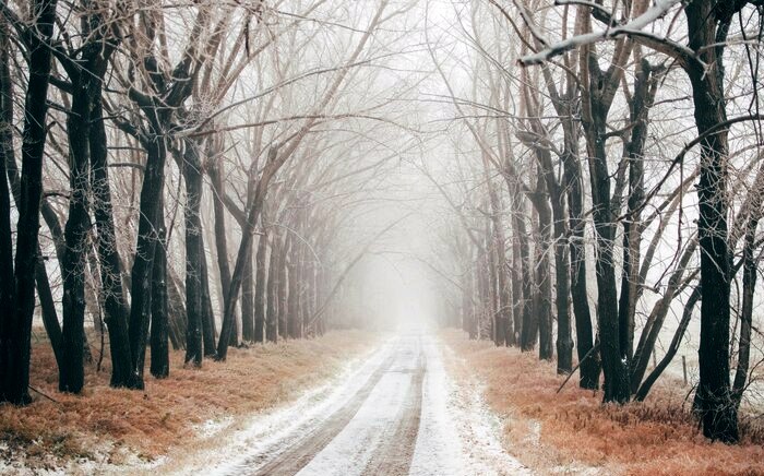 Завтра в Астраханской области зимний день отметится температурой до  +10°