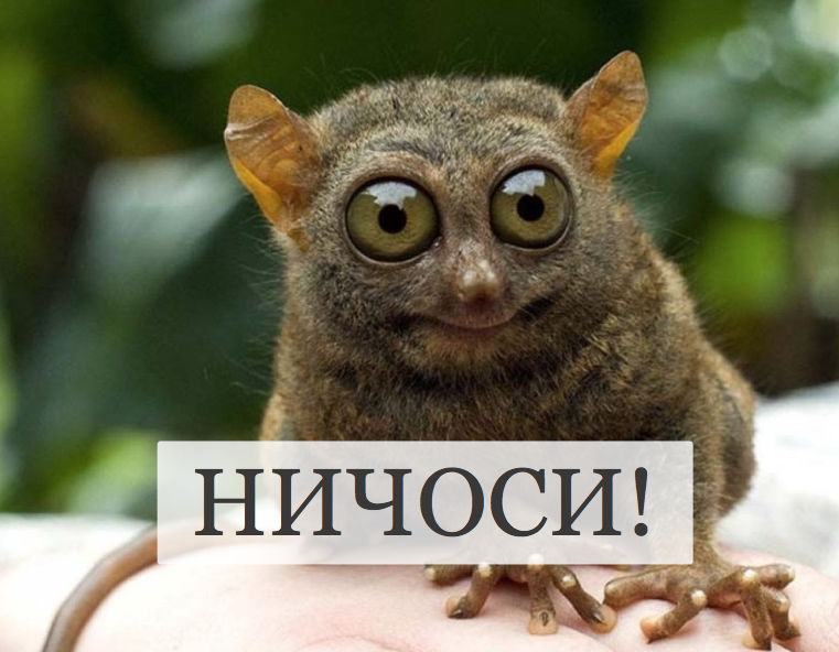 Удивительно, но факт: астраханские предприятия одни из успешных в ЮФО