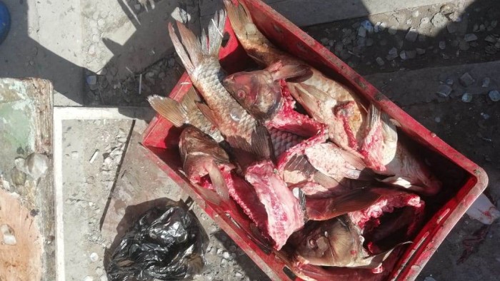 В Астрахани "Большие Исады" снова не прошли проверку