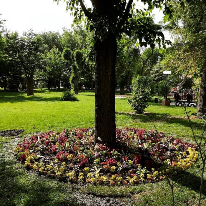 Фото дня: на месте памятника-пальцев в Братском саду разбили клумбу